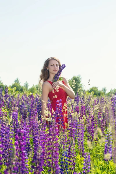 Gyönyörű Fiatal Egy Virágzó Csillagfürtöt Mezőben — Stock Fotó