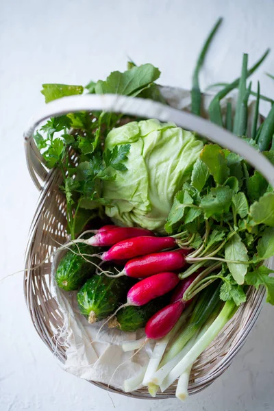 Fehér Kosár Egy Sor Saláta Tavaszi Zöldségekkel — Stock Fotó