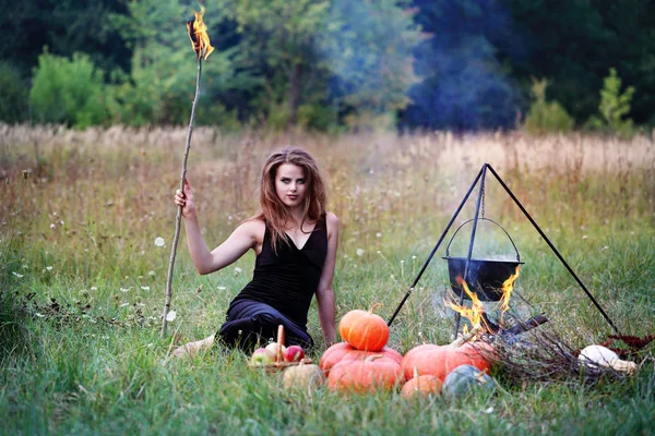 Witch Preparing Potion Meadow — Stock Photo, Image