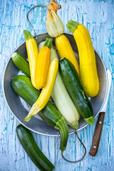 Eine Gruppe Frischer Farbenfroher Zucchini Einem Druiden — Stockfoto