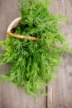 Ahşap arka plan üzerinde taze dereotu demet