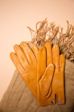 Bej renkli arka plan üzerinde sonbahar öğe koleksiyonu