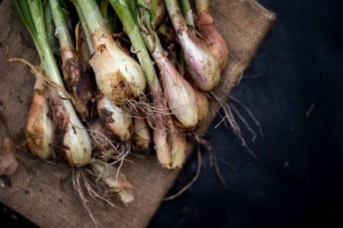 Bir tabloda yeşil soyulmuş soğan bir demet