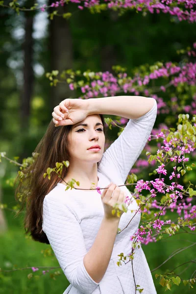 Piękna Kobieta Ogrodzie Pod Drzewem Kwitnących Wiosną — Zdjęcie stockowe