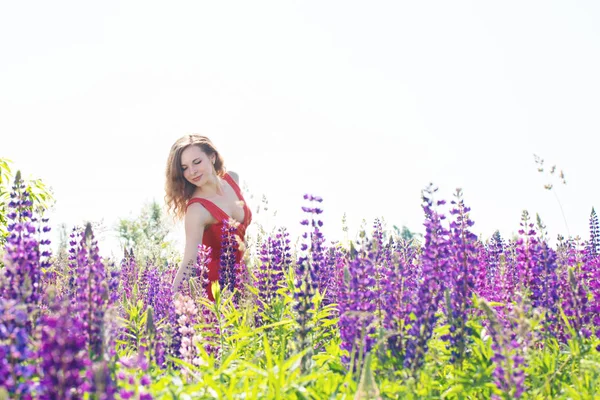 Mulher Bonita Campo Com Lupine Florescendo — Fotografia de Stock