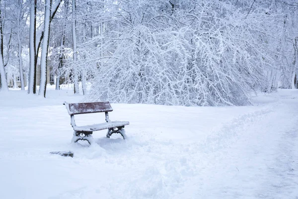 Hermoso Paisaje Nevado Invierno Parque — Foto de Stock