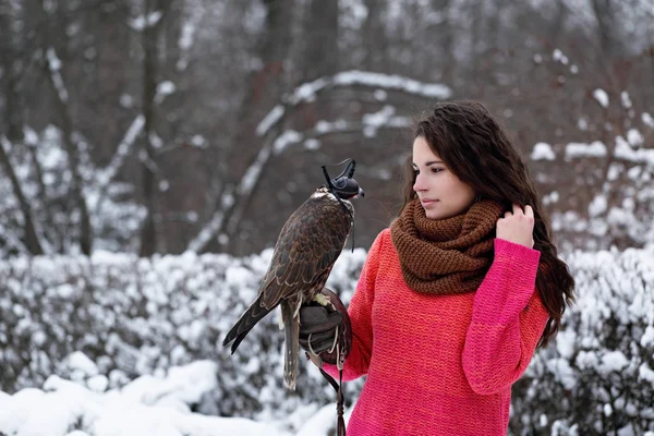 鷹を持つ少女が森で冬の散歩します — ストック写真