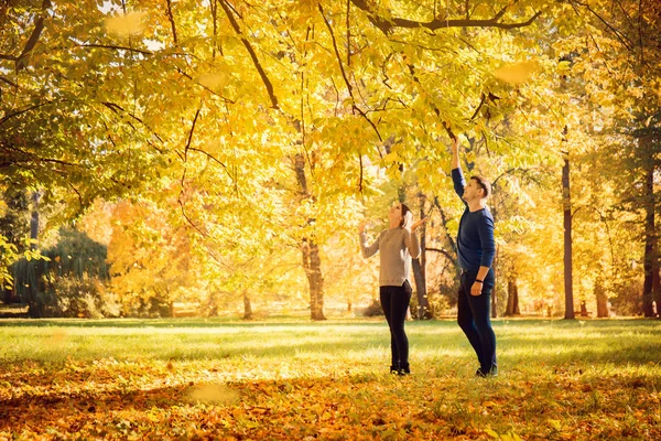 秋の公園で歩いて美しいカップル — ストック写真