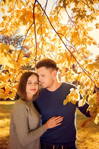 太陽の光線で秋のツリーの下でロマンチックなカップル — ストック写真