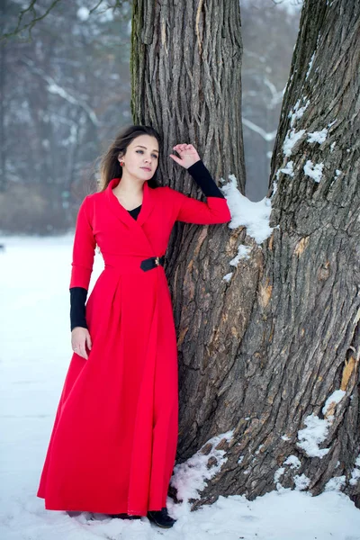 Bela Mulher Pensativa Vestido Vermelho Inverno Uma Floresta Nevada — Fotografia de Stock