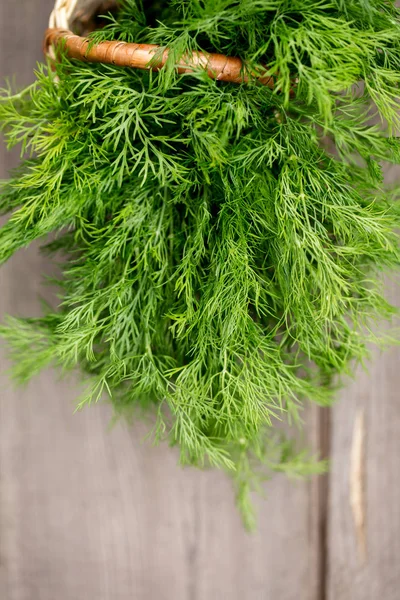 bunch of fresh dill on a wooden background
