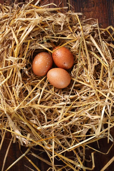 Fresh Organic Chicken Eggs Nest Close — Stock Photo, Image