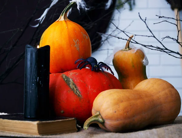 Natura Morta Halloween Con Zucche Studio Girato — Foto Stock