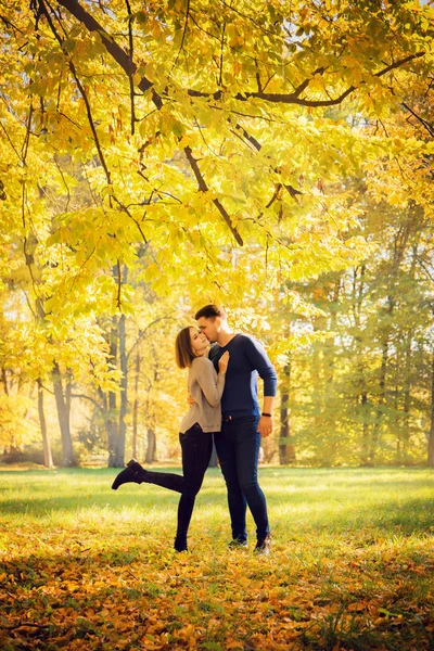 Jovem Casal Bonito Andando Parque Outono — Fotografia de Stock