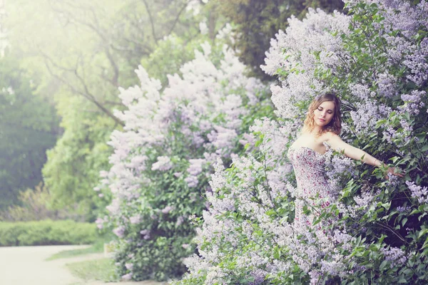 美丽的女人在春天的花园里盛开的丁香花 女人拥抱丁香灌木 — 图库照片