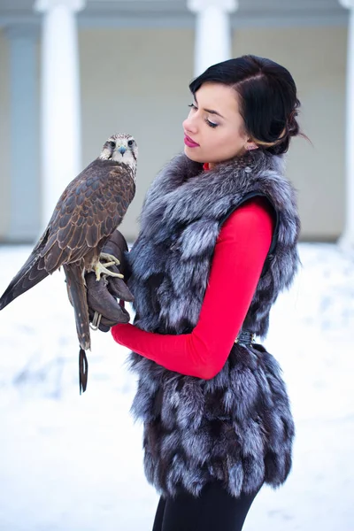 冬に彼女の手に鷹を保持している美しい女性 — ストック写真
