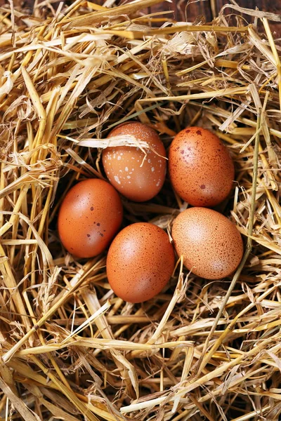 Ovos Páscoa Ninho Fundo Madeira — Fotografia de Stock