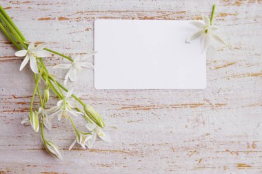 tebrik kartı ve beyaz lilyum buketi