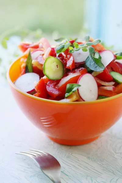 Ensalada Verano Con Una Salsa Verduras Ecológicas — Foto de Stock