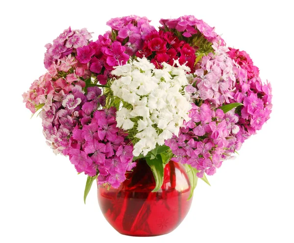 Garofano Turco Allflowers Bouquet Vaso Rosso — Foto Stock