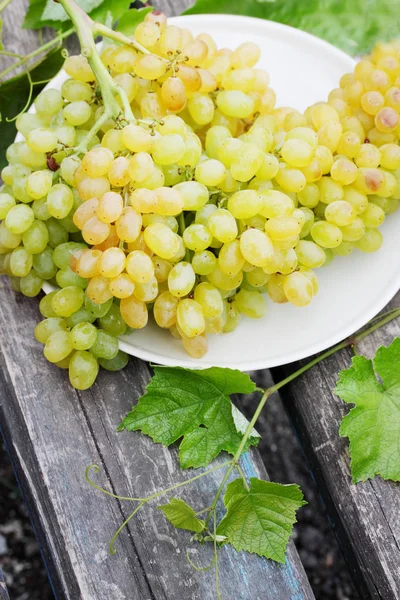 Uvas Maduras Suculentas Uma Tábua Madeira — Fotografia de Stock