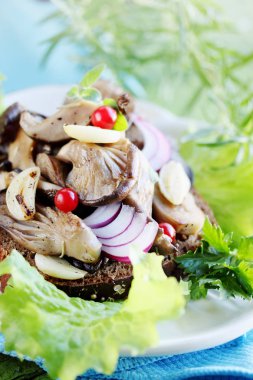  Kızarmış yağlı mantar, sarımsak ve otlar ile sandviç