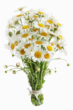 Big bouquet of daisies isolated on white