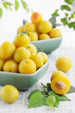 Meyve natürmort / sarı damson Erik plaka