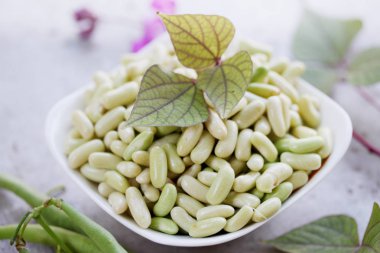 saf taze yeşil fasulye hasat bahçeden