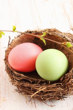 Kuş yuvası içinde iki büyük yumurta