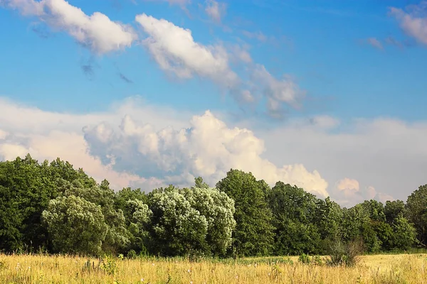 Natura Localității Rurale Timpul Zilei Tulbure — Fotografie, imagine de stoc