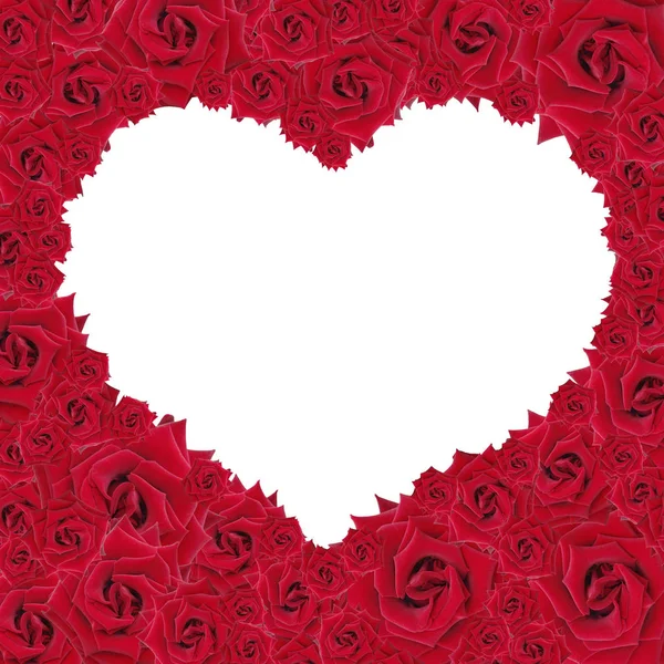框架从红色玫瑰在心脏的形式 — 图库照片