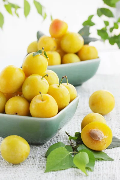 Fruit Still Life Yellow Damson Plum Plate — стоковое фото