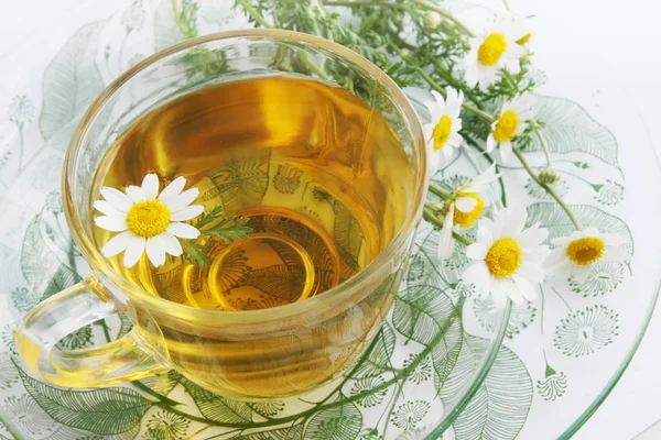 Травяной Чай Ромашки Лечебный Напиток — стоковое фото