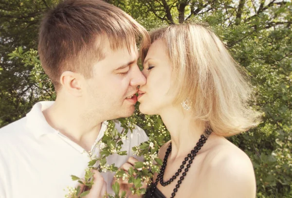 若いカップルが咲くサンザシ近くキス — ストック写真