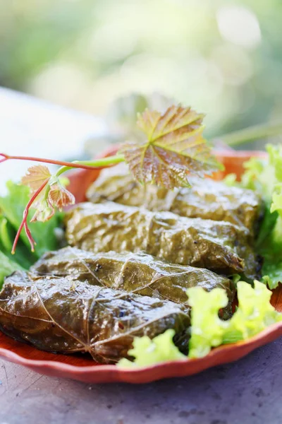 Dolma Grape Leaves Filling Dish Caucasus — Stock Photo, Image