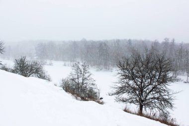 Parkta kış görünümü/güçlü kar yağışı