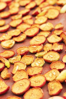 elma kurutulma işlemi