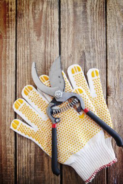 Bahçe eldiven ve secateurs ahşap oyun tahtası