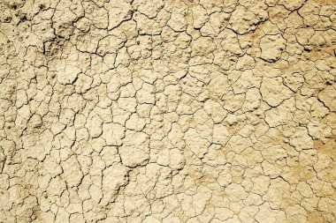 Yatay doku çatlakları ile Kuru toprak