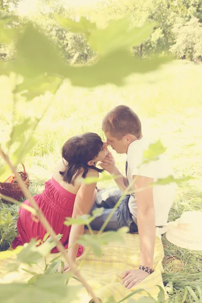 Romantic Young Couple Resting Glade — Stock Photo, Image