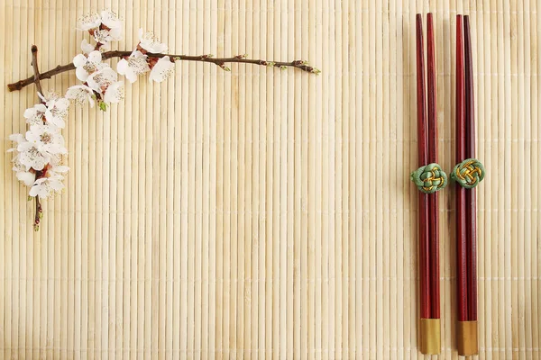 Stand Van Een Bamboe Bloei Abrikoos Chinese Stokken — Stockfoto