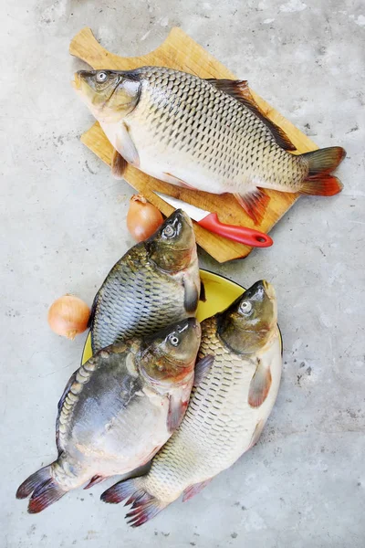 Stor Fisk Karp Skärbräda — Stockfoto