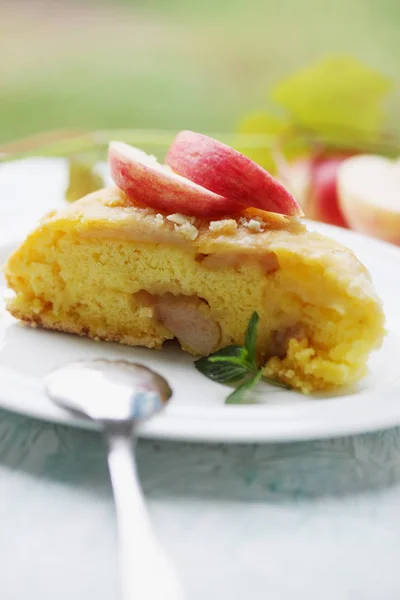 Charlotte Cake Biscuit Dough Apples Dessert — Stock Photo, Image