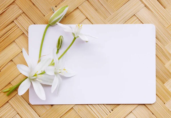 张贺卡和一束白色的百合花 — 图库照片