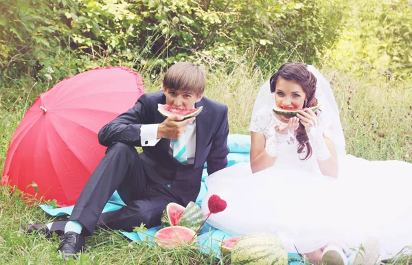 Bride Groom Eating Watermelon Picnic — Stock Photo, Image