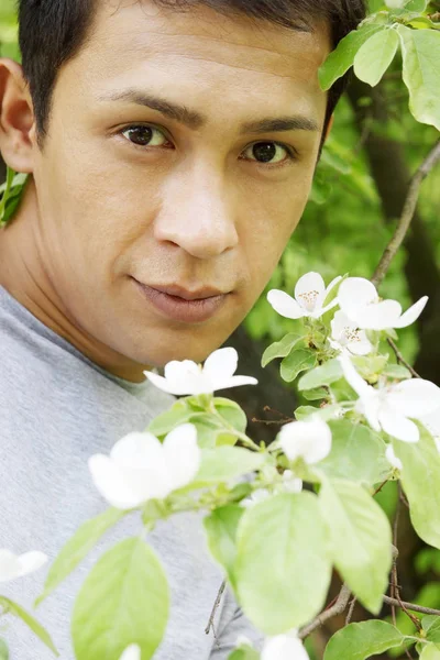 Jeune Homme Côté Buisson Coing Fleuri — Photo