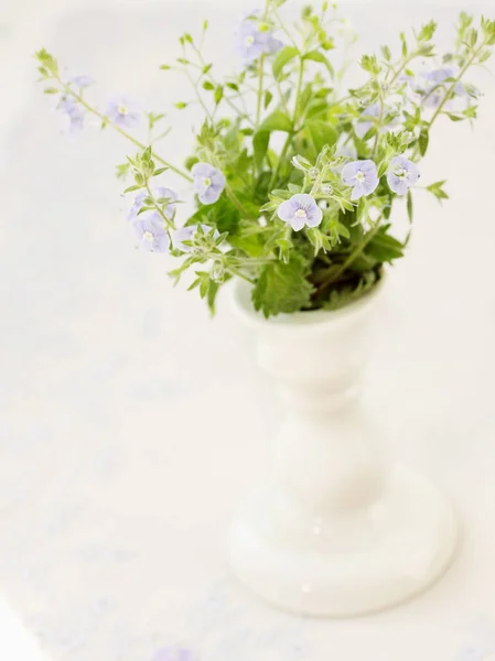 美丽的蓝色春天花在花瓶里 葡萄酒 — 图库照片