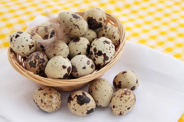 Quail Eggs Basket Plumelet — Stock Photo, Image