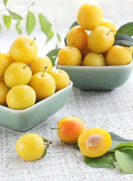 Two Plates Yellow Damson Plum — Stock Photo, Image